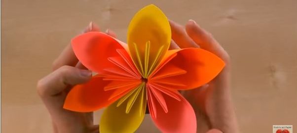 flor de 6 petalos